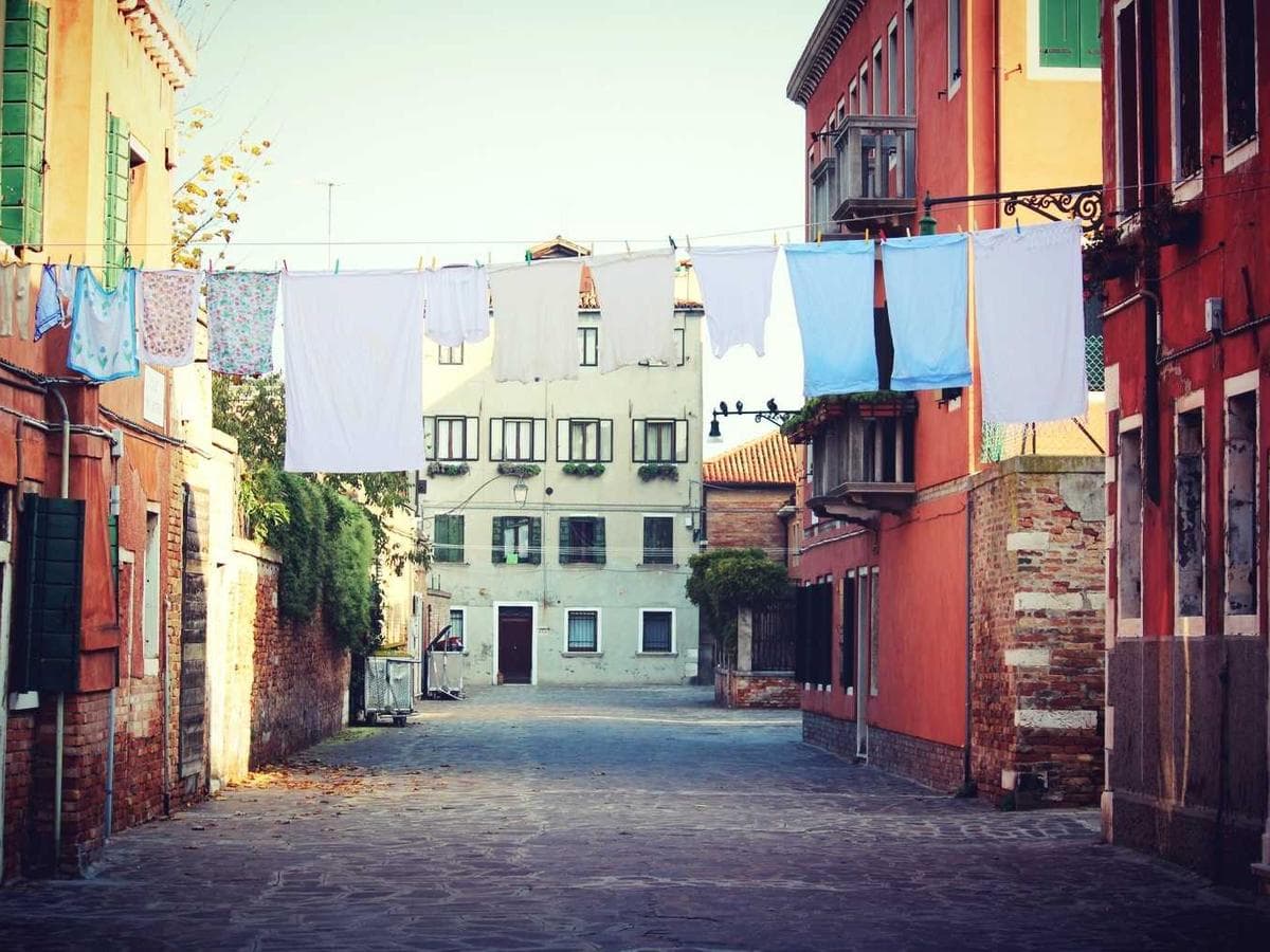 Lajnovaci barva Profi White 10L detail