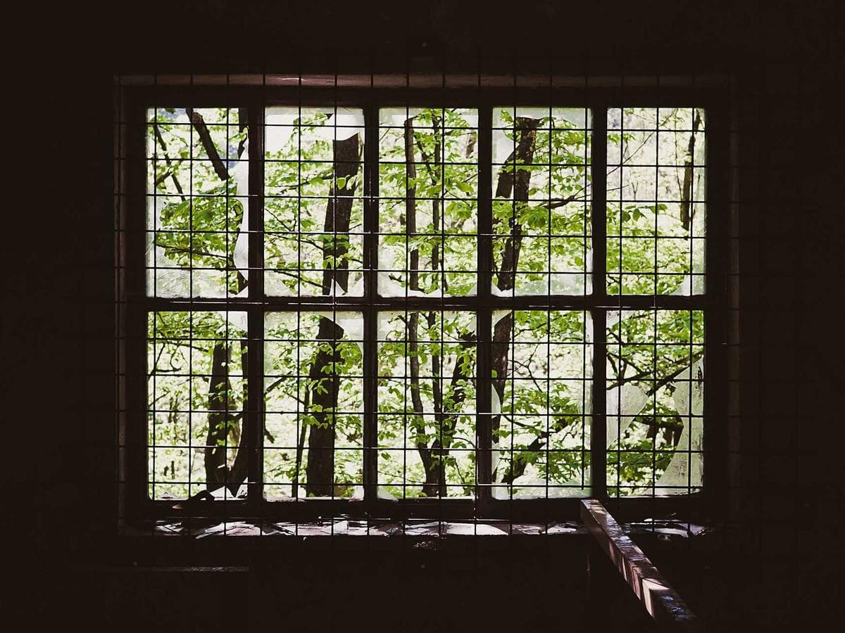 Lajnovaci vozik Sprint Pro hlavni obrazek