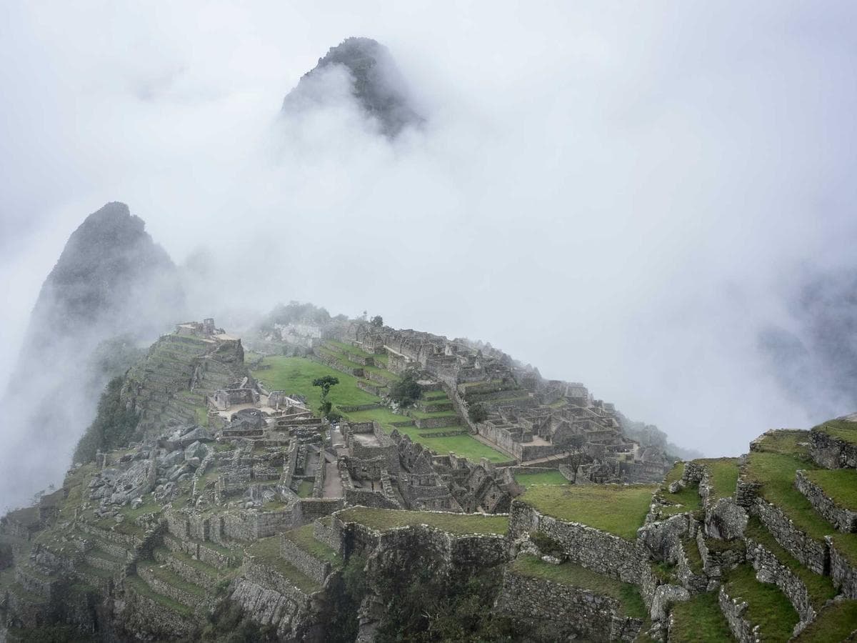 Tmel 1K Flex Wood Repair hlavni obrazek