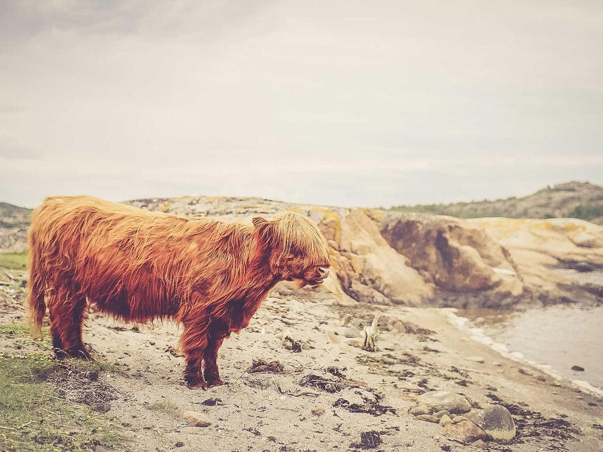 Tmel 2K Polyester Rapid hlavni obrazek