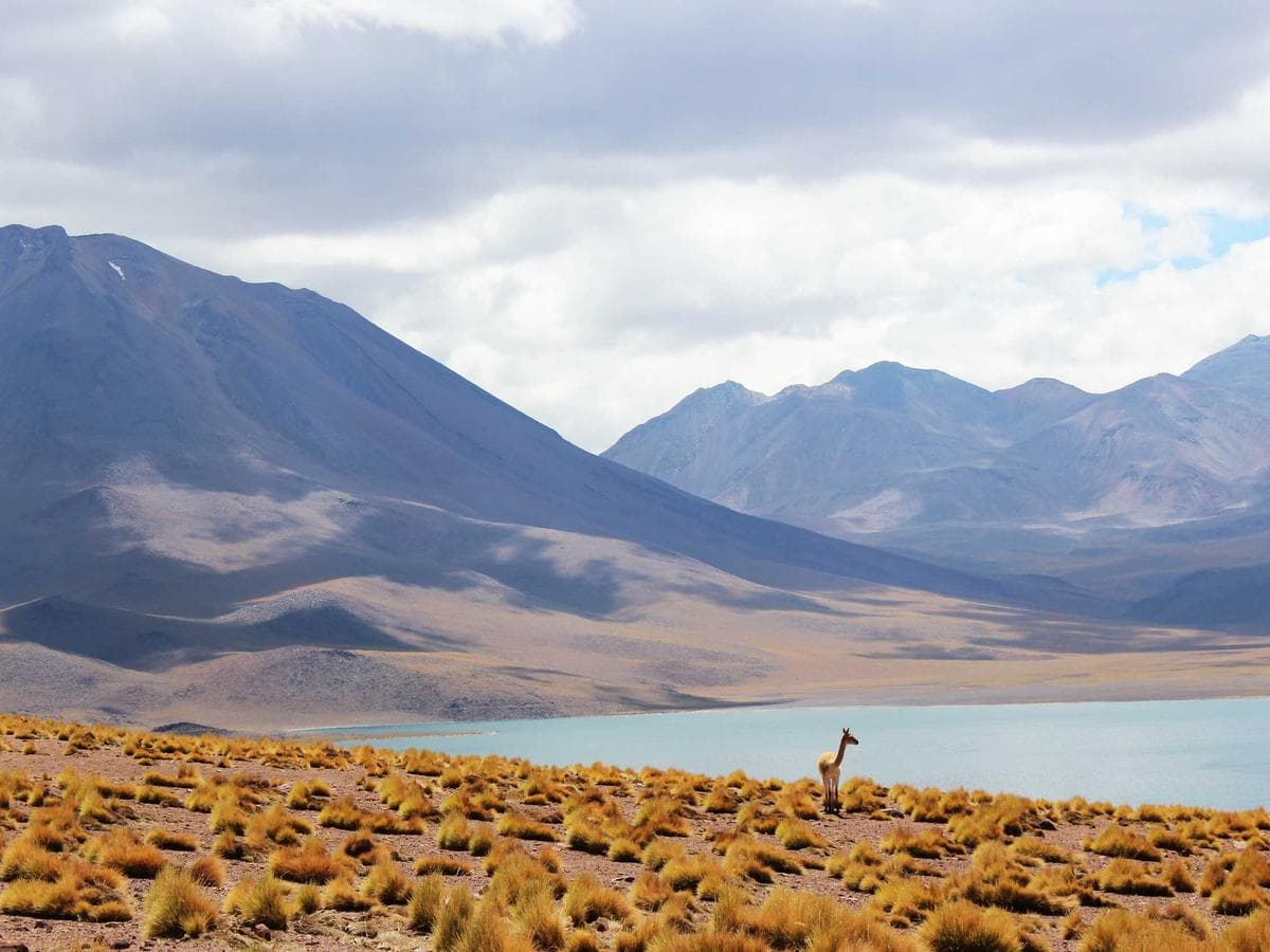 2K PUR Transparent Mat 5L hlavni obrazek