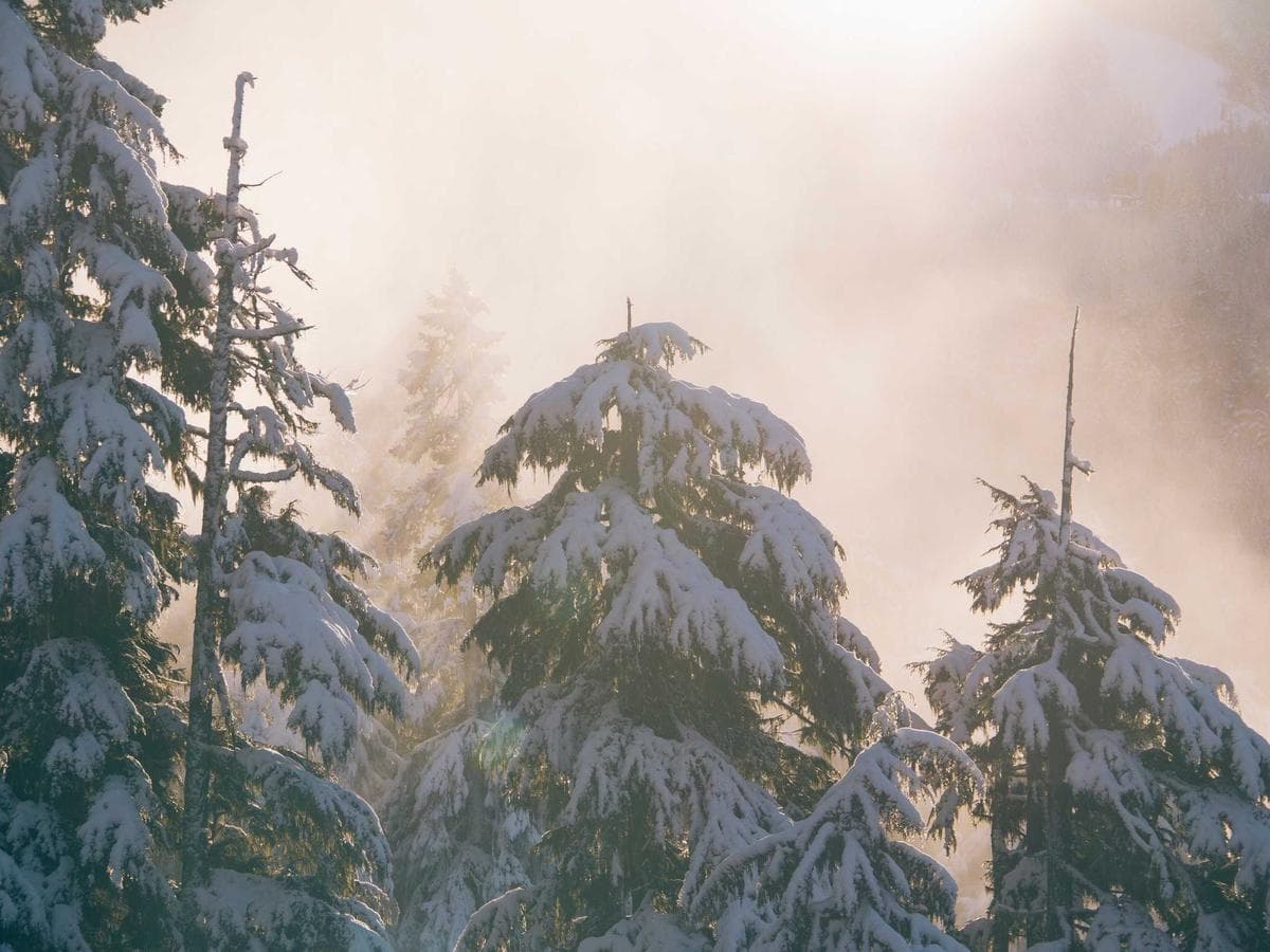 Airmix tryska 517 Heavy Duty detail