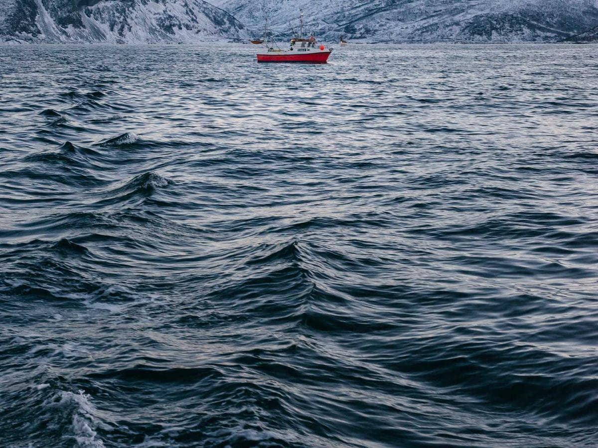 Motory ATEX ECO-LINE M75 hlavni obrazek