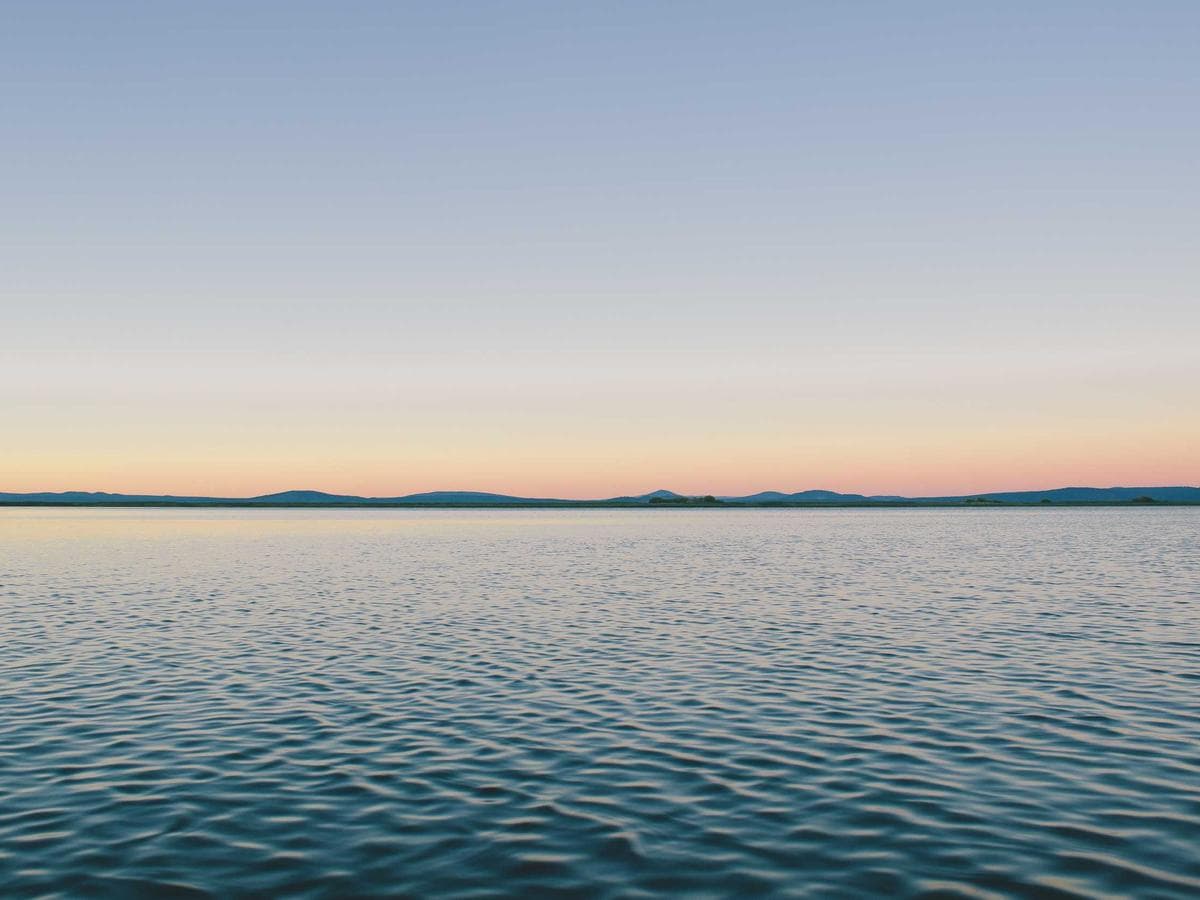 Lajnovaci koncentrat Grass Pro 5L detail