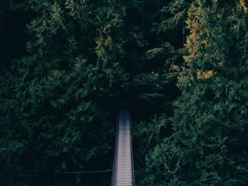 Airless pumpa Contractor 390