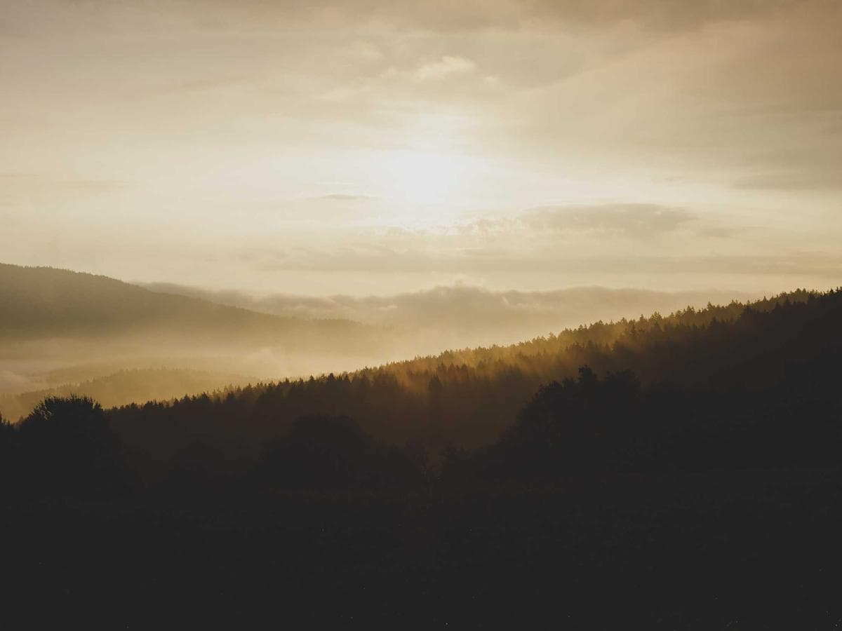 Stativove michadlo Profi Stand 1500 hlavni obrazek