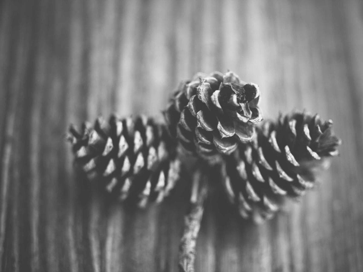 Nitrilove rukavice ChemSafe 100ks hlavni obrazek