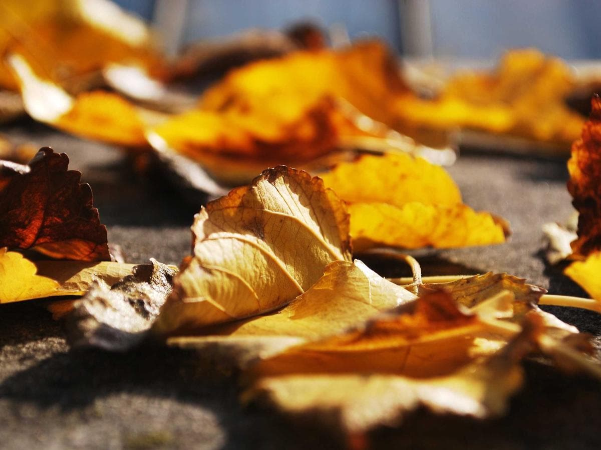 Rukavice Sleek 055 detail