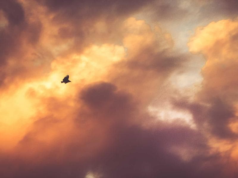 Hadice a spojky Handcrafted 059