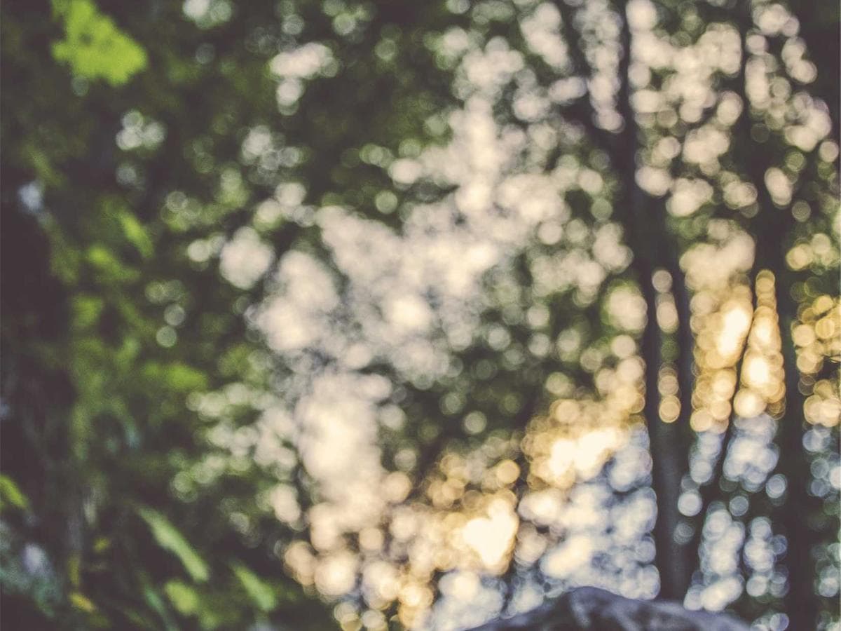 Hadice a spojky Handcrafted 059 detail