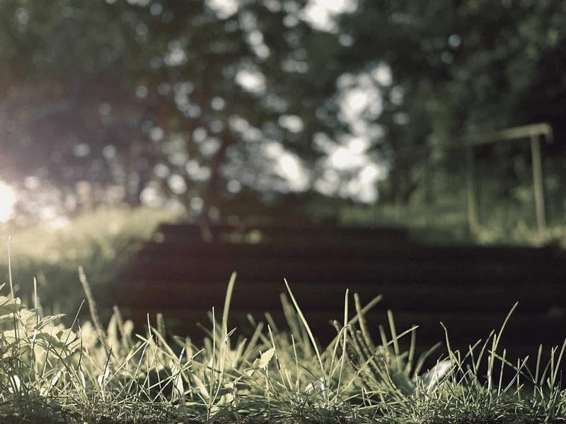 Lajnovaci barvy Soft 090