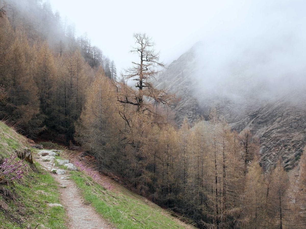 Tmely na kov Practical 095 detail