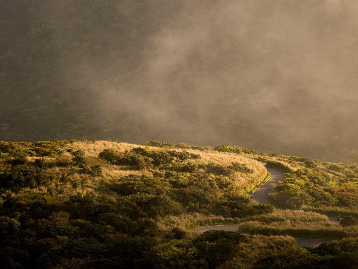 Brusne kotouce Luxurious 108 hlavni obrazek