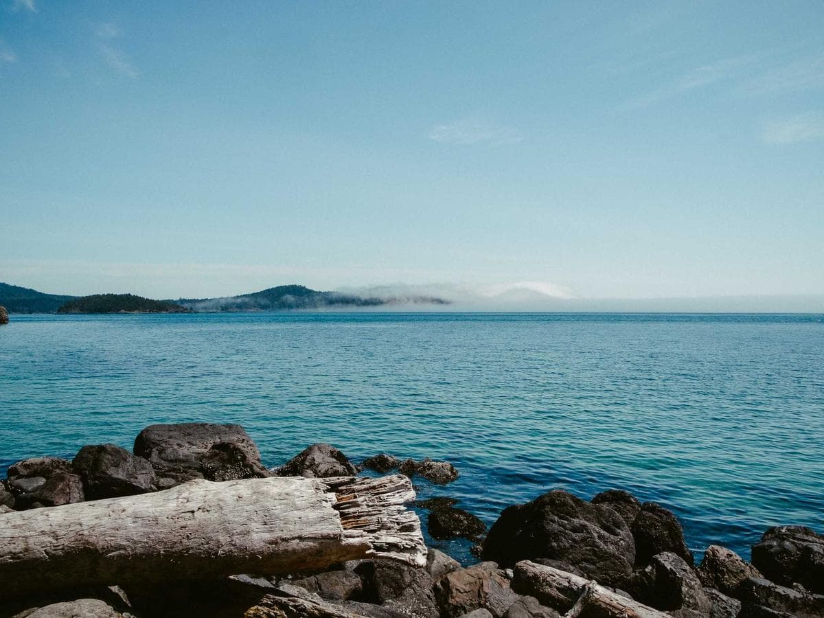 Odstranovace Incredible 111 detail