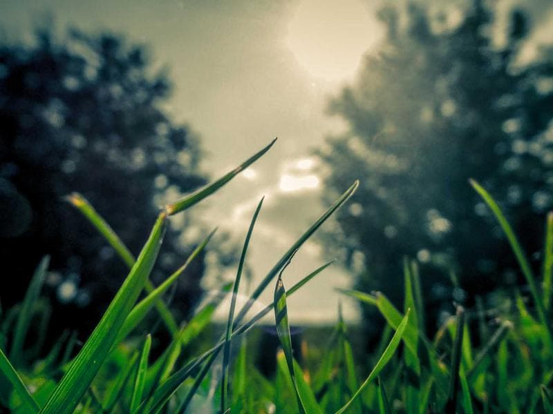 Trysky Intelligent 117