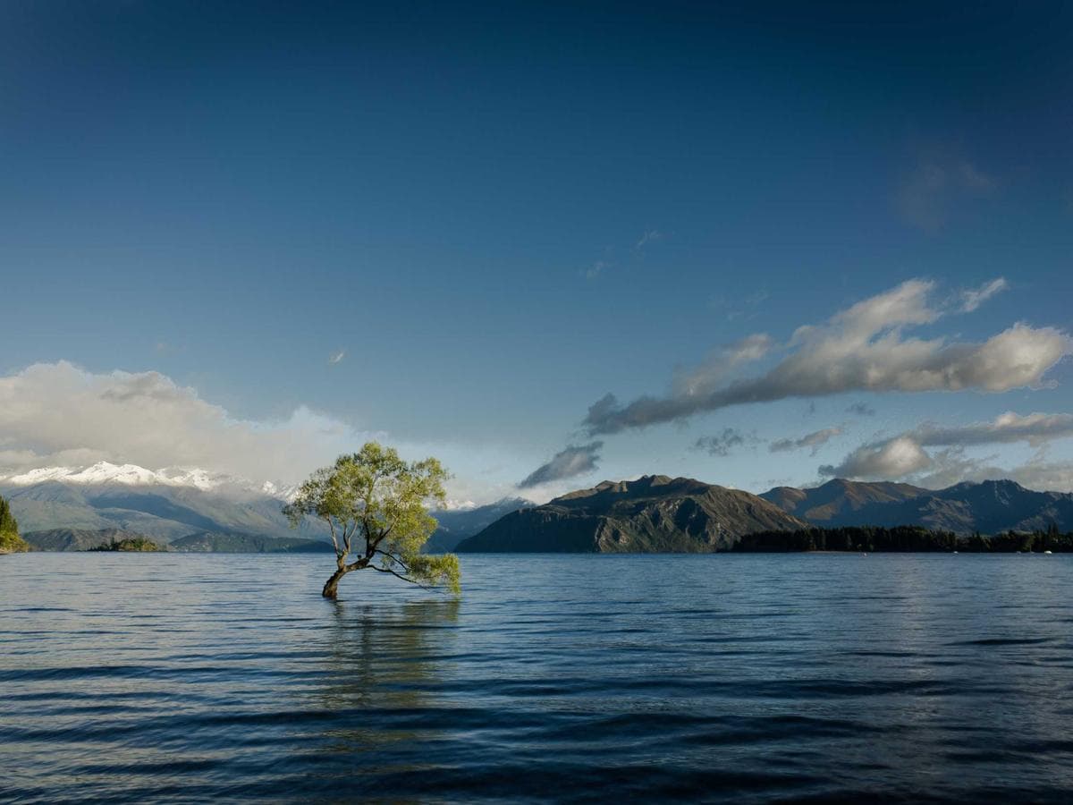 Lajnovaci voziky Electronic 121 hlavni obrazek