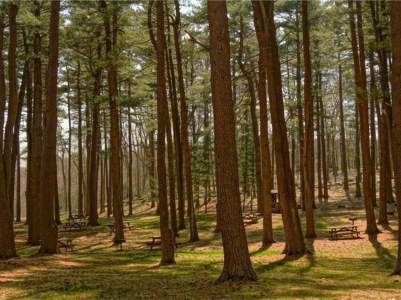 2K PUR transparent Sleek 126