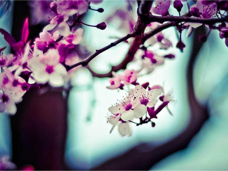 1K vodoureditelne Handcrafted 128