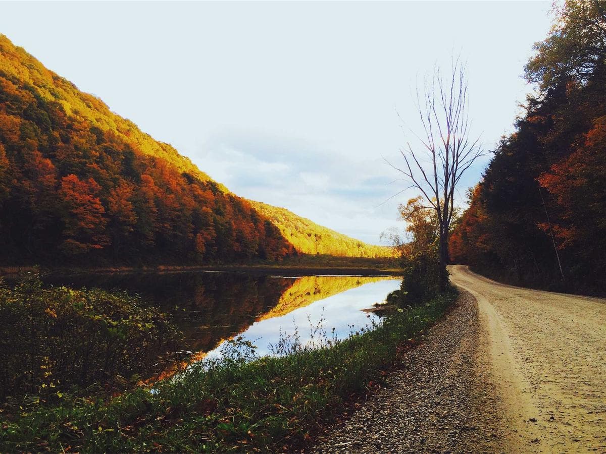 Odmastece Generic 140 detail