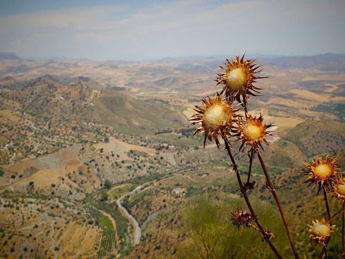 Respiratory Practical 144 hlavni obrazek