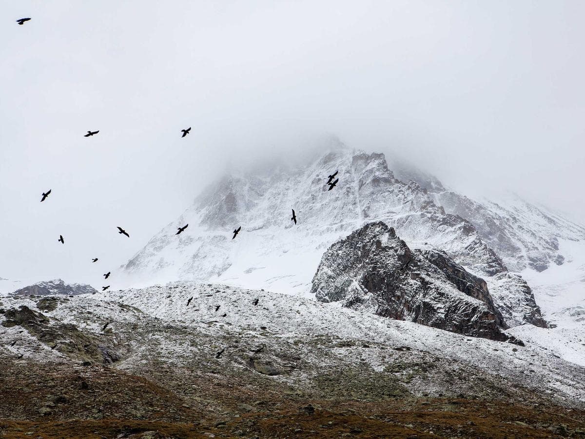 Tesneni Incredible 148 hlavni obrazek