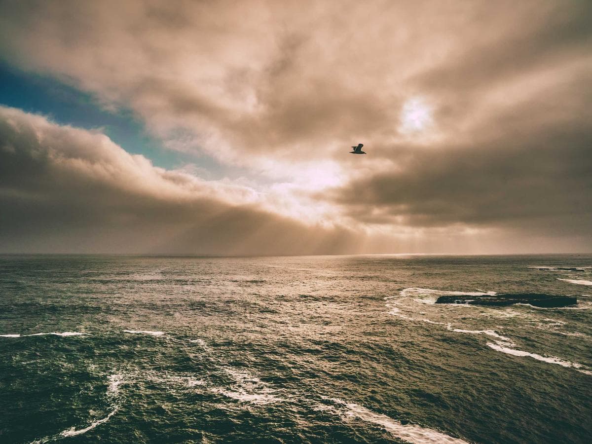 Lajnovaci barvy Electronic 150 hlavni obrazek