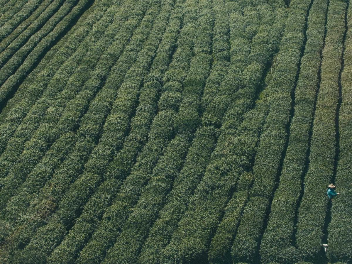 Stativova michadla Soft 196 hlavni obrazek