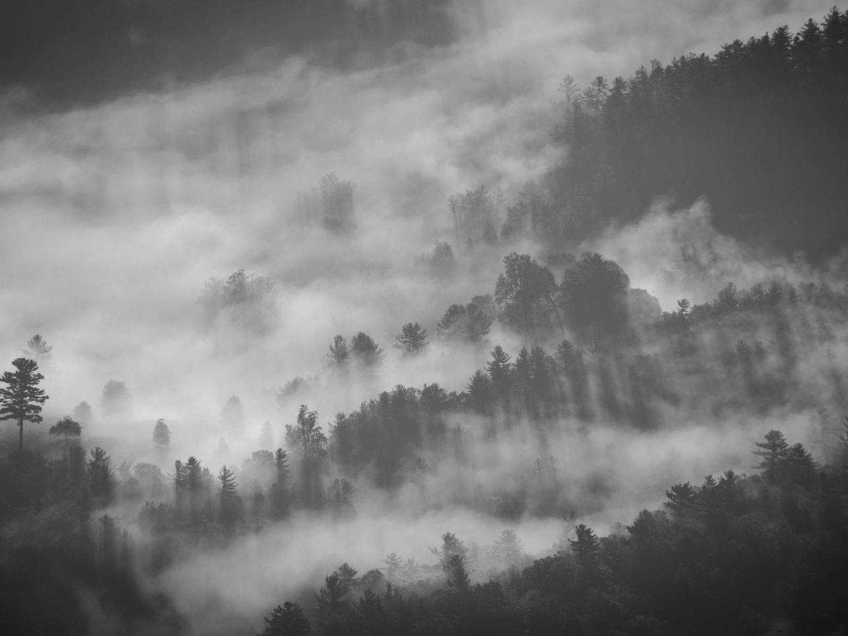 Stativova michadla Soft 196 detail