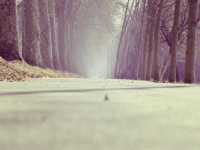 Tesneni Luxurious 208