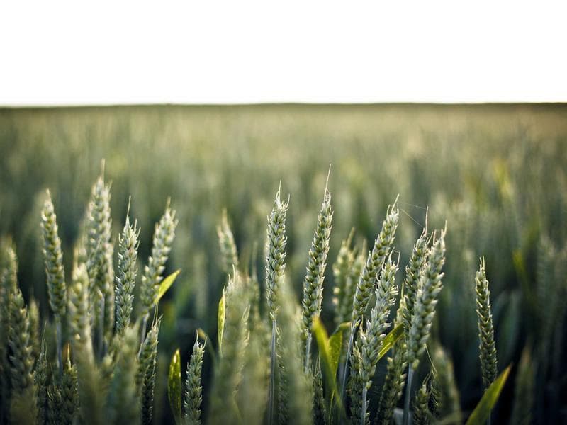 Tmely 1K Generic 213