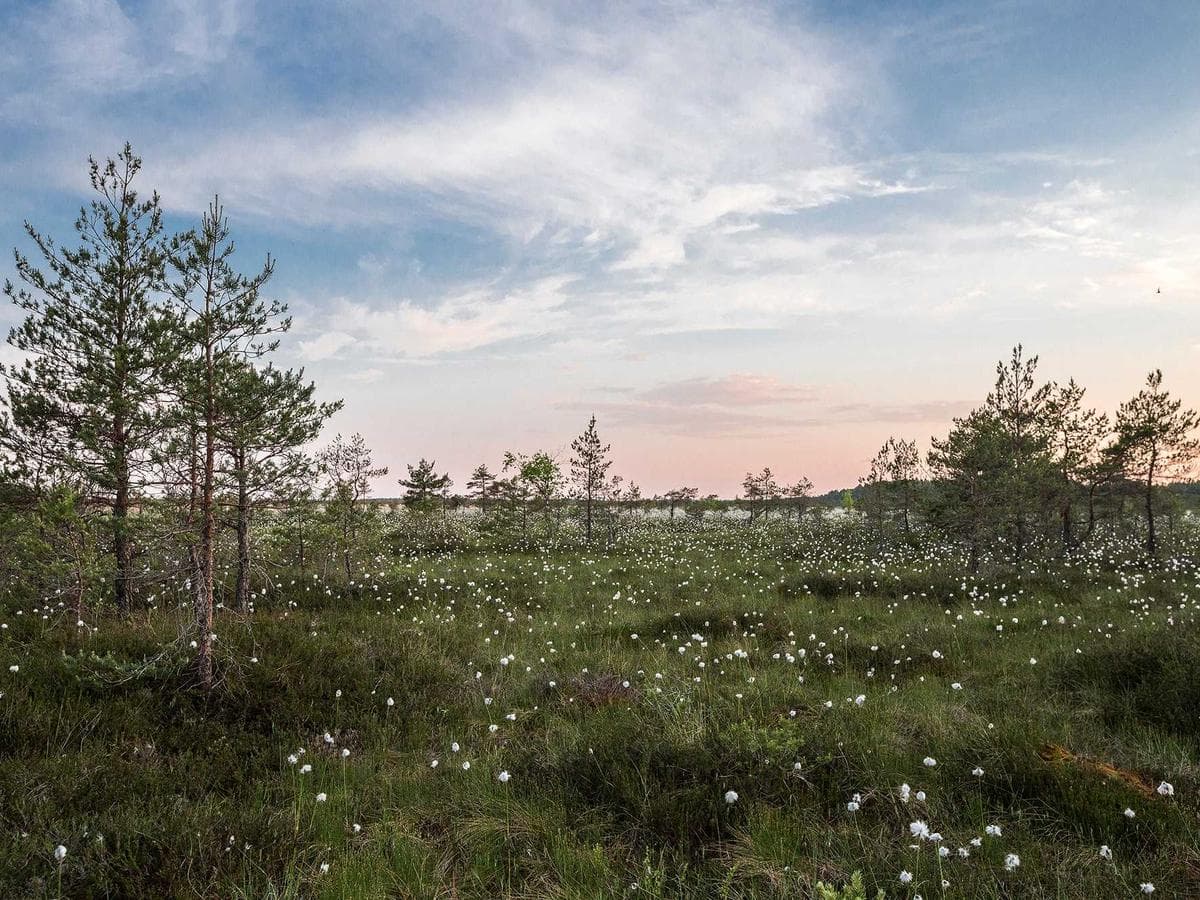 Airless Tasty 222 hlavni obrazek