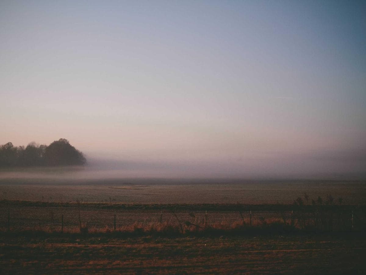 Brusne papiry Fresh 229 hlavni obrazek