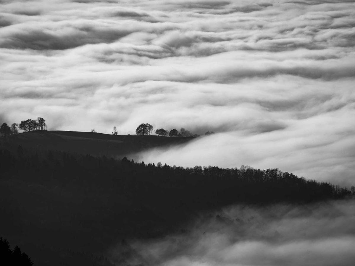 Tesneni Elegant 238 detail