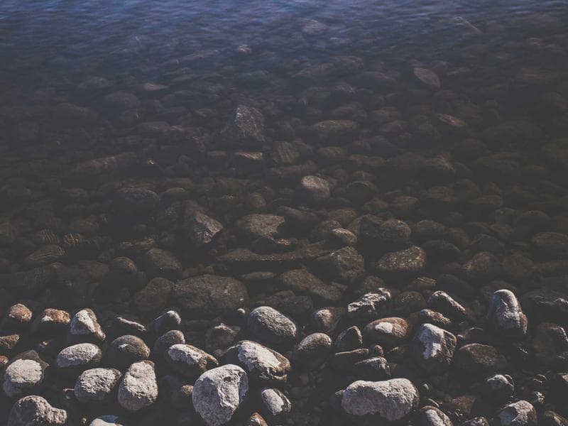 Lajnovaci voziky Practical 241