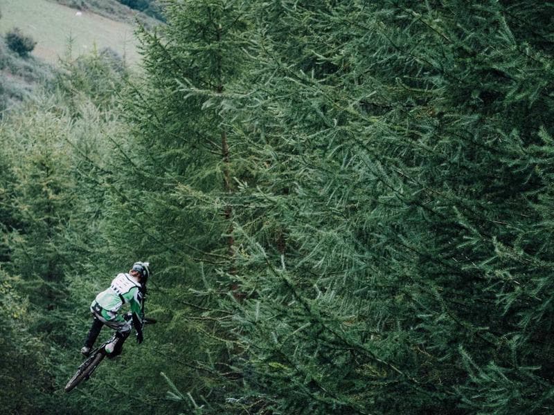 Tmely 2K polyester Fantastic 244