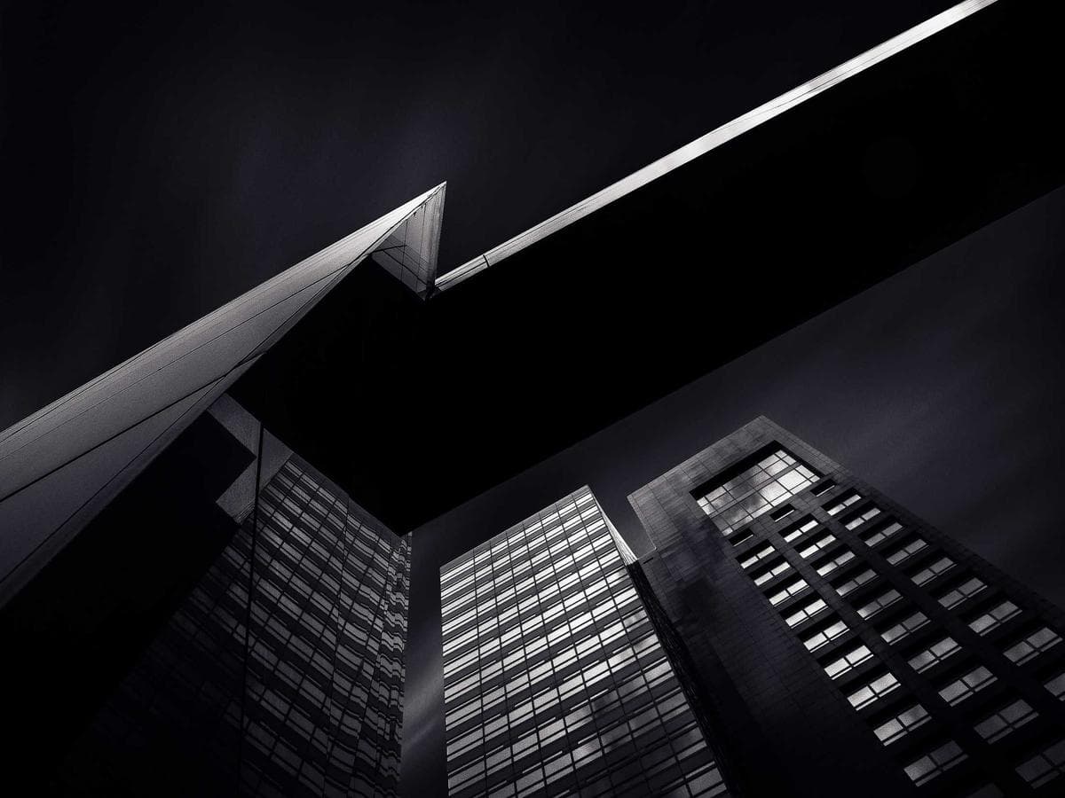 Tmely 2K polyester Fantastic 244 detail