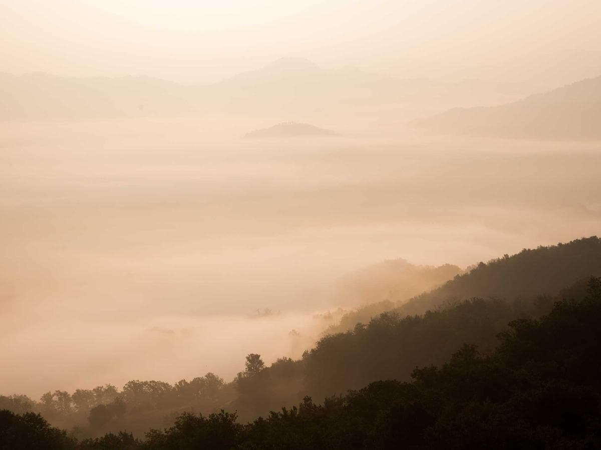 Airmix Tasty 253 hlavni obrazek