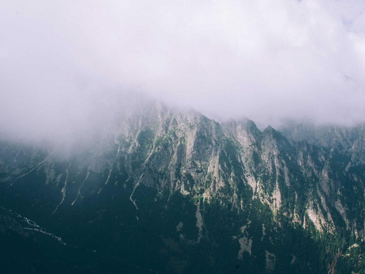 Airmix Tasty 253 detail