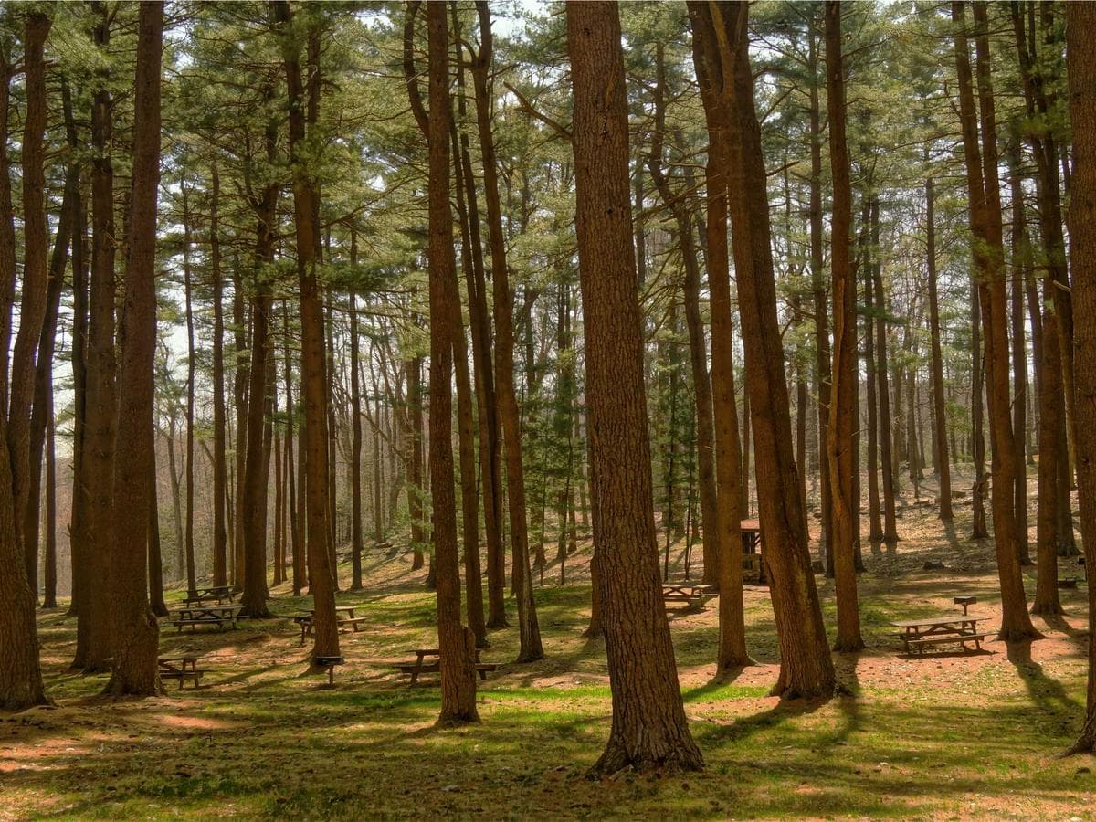 Stativova michadla Unbranded 286 detail