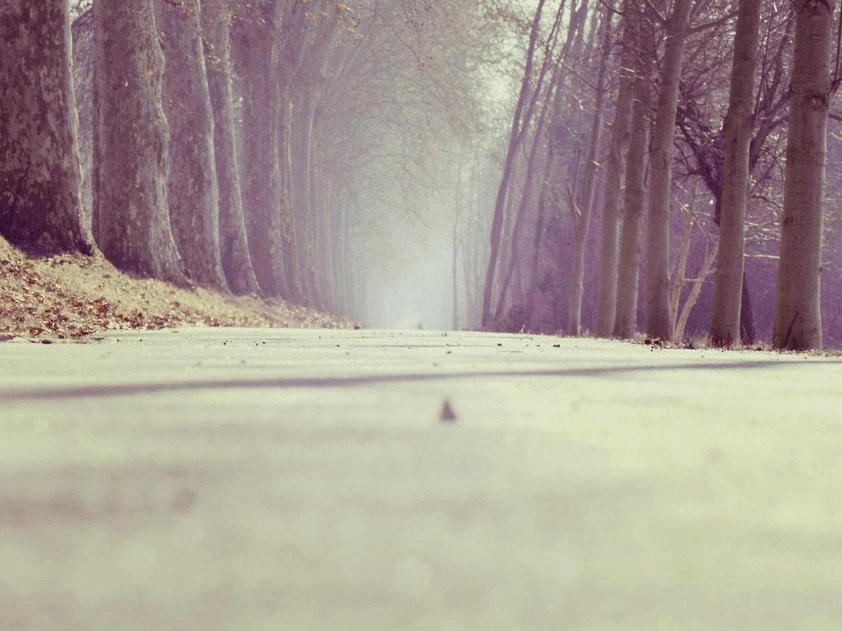 Motory ATEX Handcrafted 287 hlavni obrazek