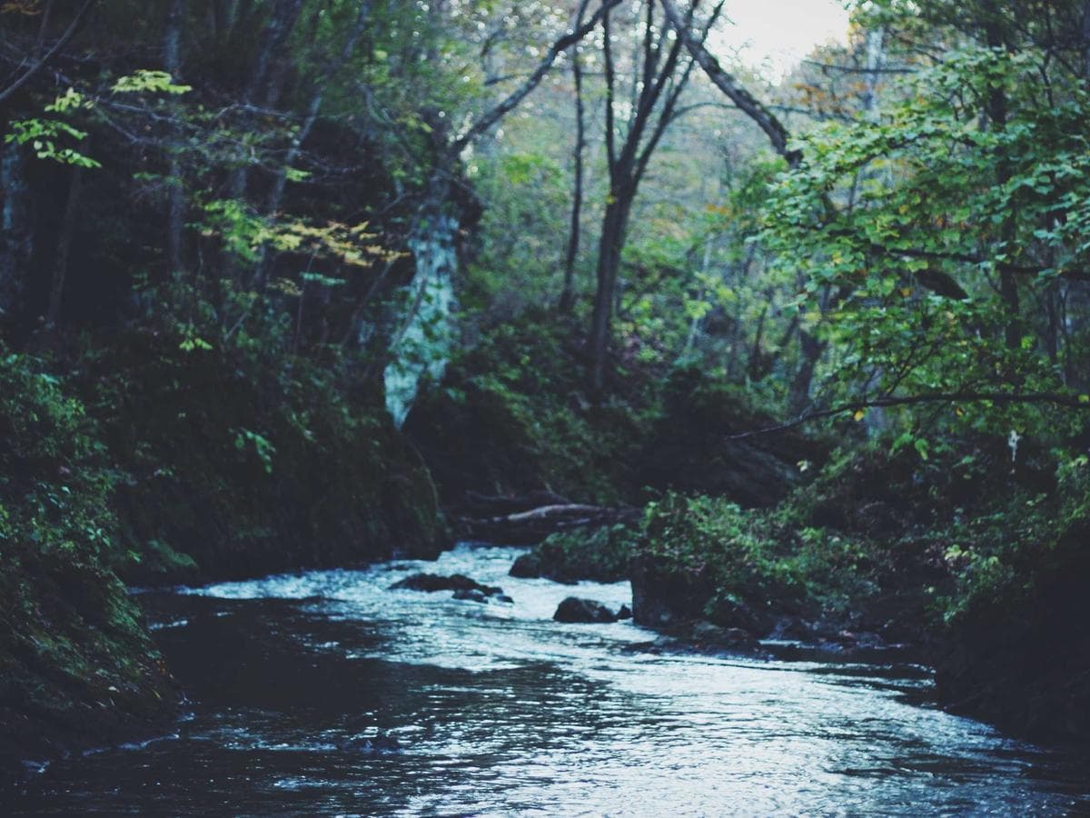 Brusne papiry Tasty 289 hlavni obrazek