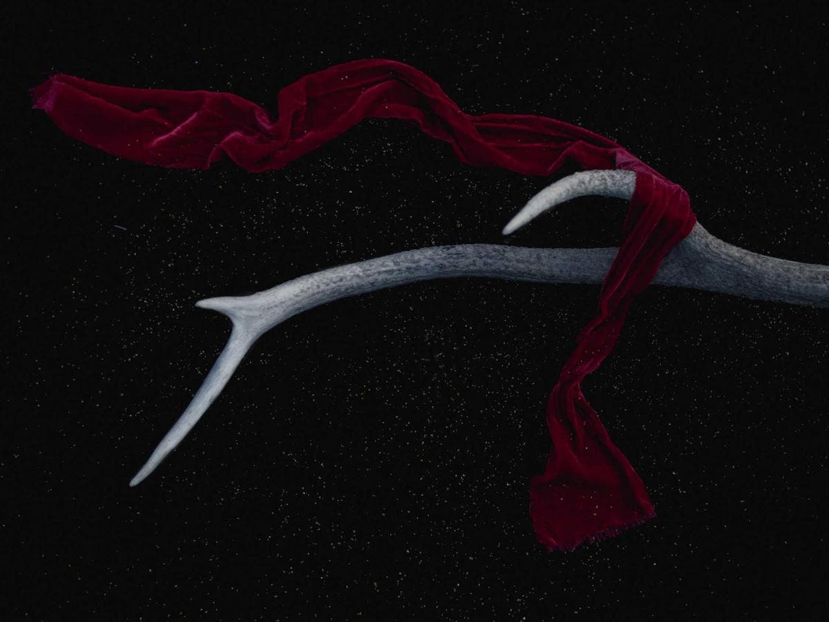 Respiratory Recycled 294 hlavni obrazek