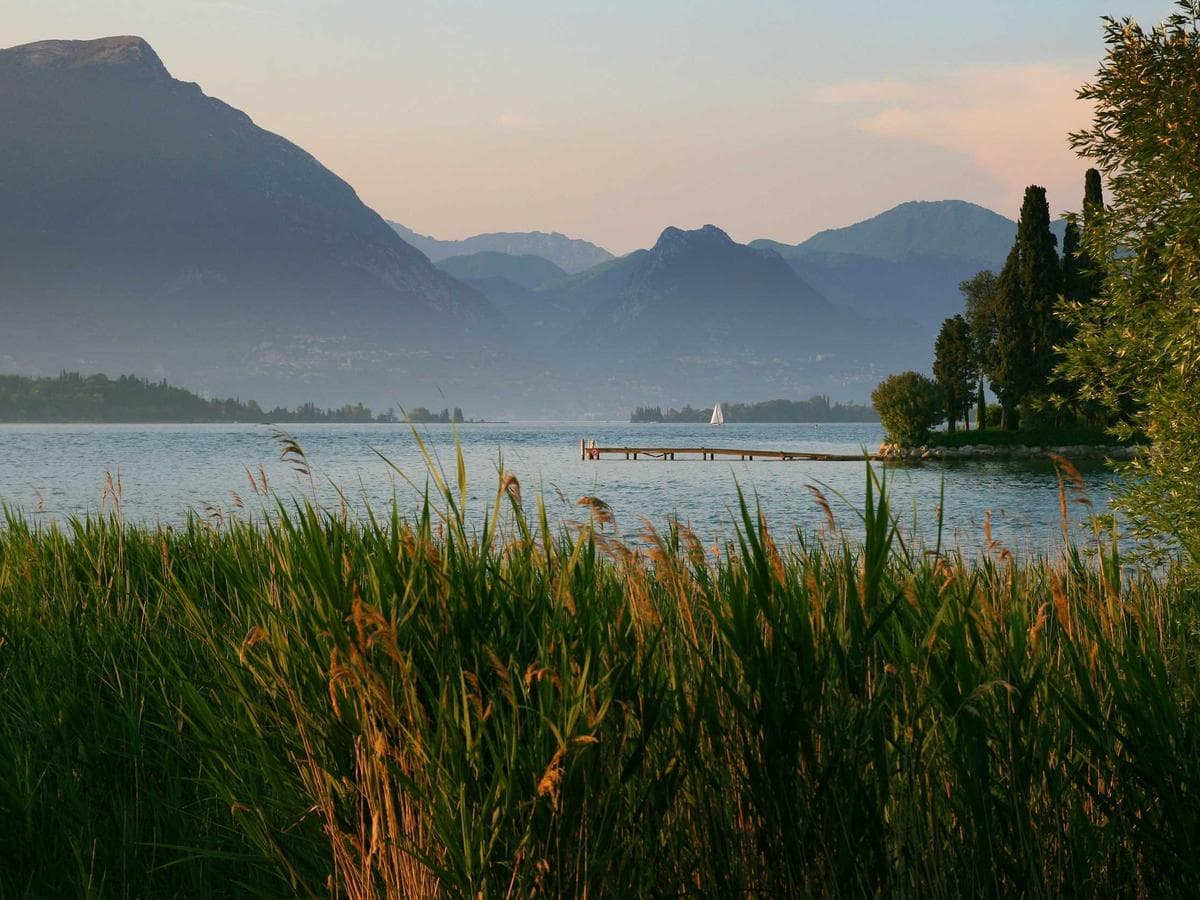 Lajnovaci barvy Practical 300 detail